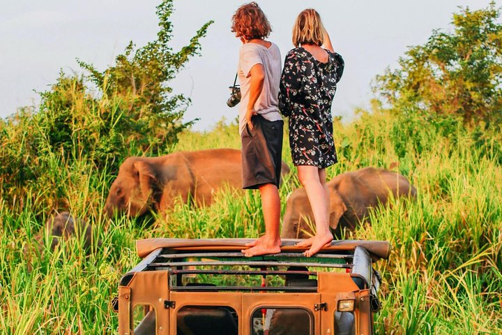 Udawalawa National Park Safari  - Photo 1 of 25